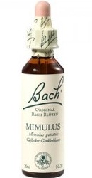 Mimulus - Bach