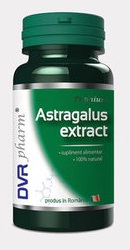 Astragalus Extract - DVR Pharm