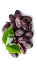 Cacao Boabe Organice Crude - Evertrust