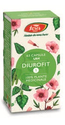 Diurofit 1 - Fares