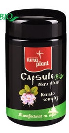 Renalo Complex  Nera Plant