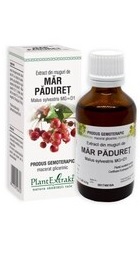 Extract din muguri de MAR PADURET  PlantExtrakt