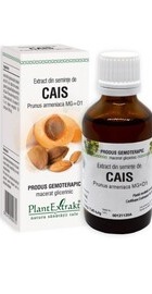 Extract din seminte de CAIS  PlantExtrakt