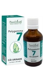 Polygemma 7 - Cai urinare - PlantExtrakt