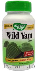 Wild Yam Root - Antispastic uterin si intestinal