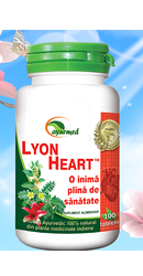 Lyon Heart - Star International
