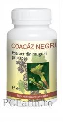 Coacaz negru - Dacia Plant