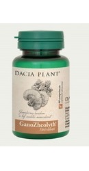 GanoZheolyth - Imunomodulator puternic - Dacia Plant
