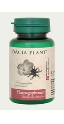 Harpagophytum - Dacia Plant