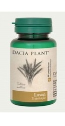 Laxen - Dacia Plant