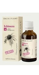 Tinctura de Echinacea fara alcool - Dacia Plant