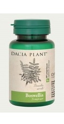 Boswellia - Dacia Plant