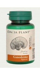 Ganoderma - Dacia Plant